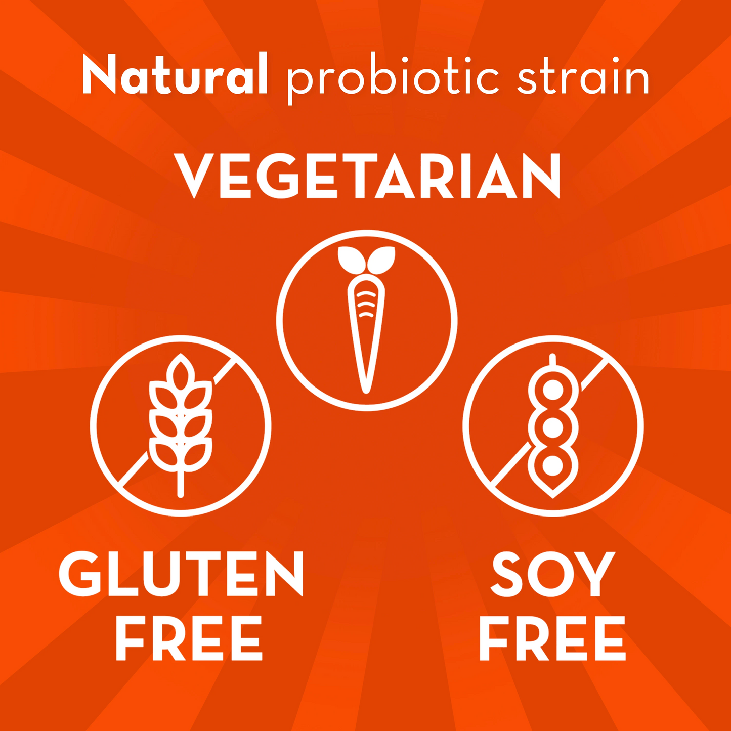 Align 24/7 Digestive Support*§ Probiotic Supplement