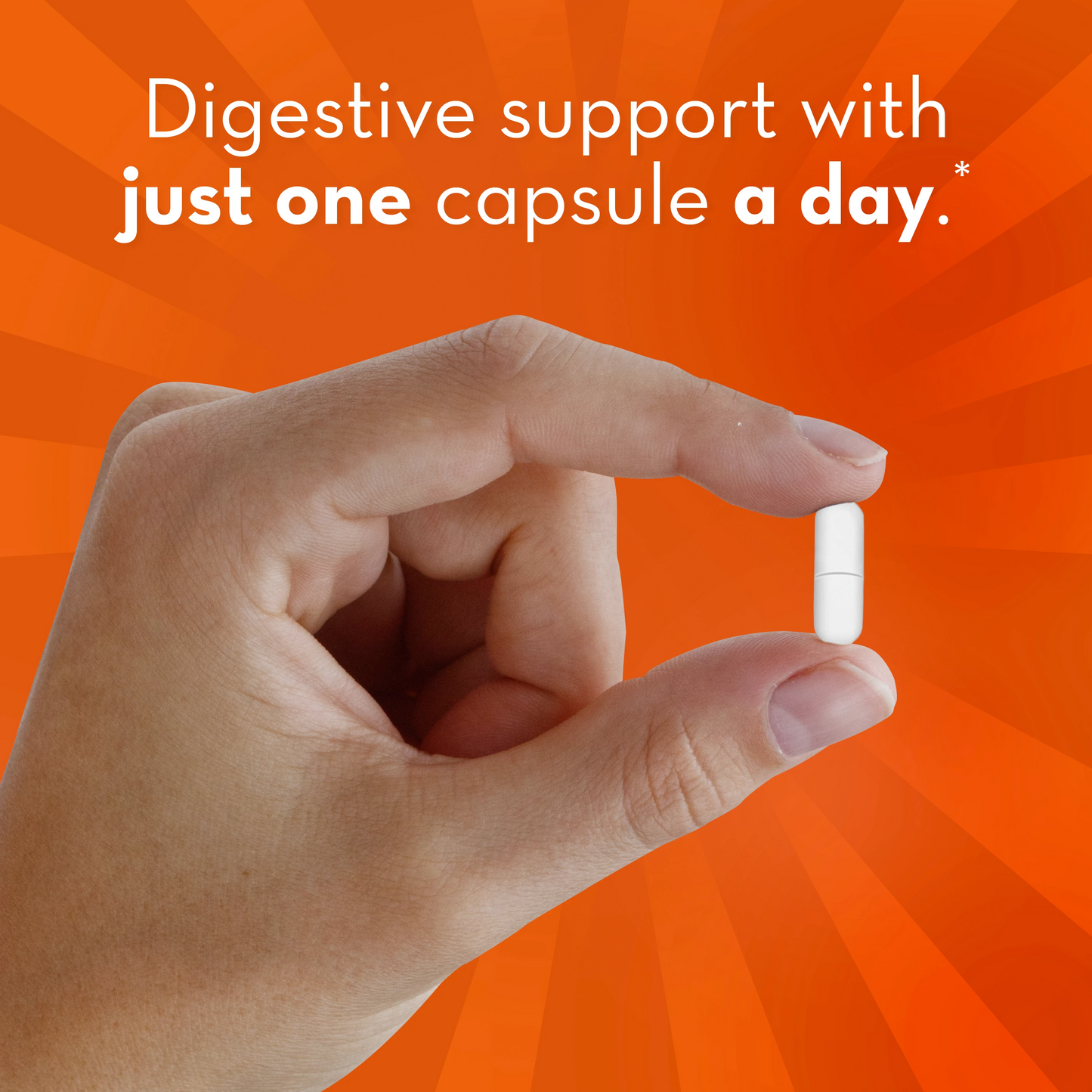 Align 24/7 Digestive Support*§ Probiotic Supplement